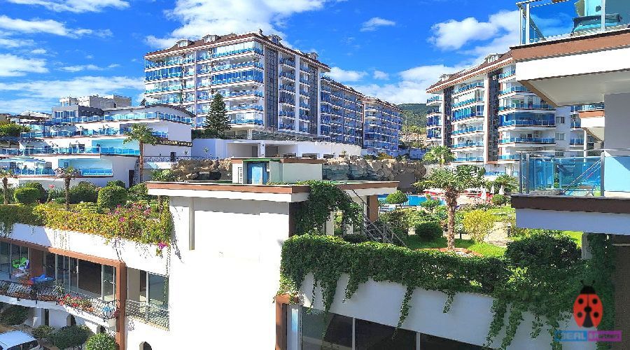 1+1 Apartment For Sale in Another World